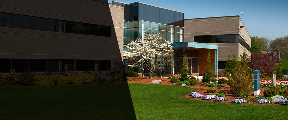 Eunice Landscapers