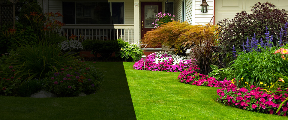 Eunice Landscapers