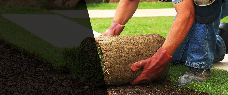 Eunice Landscapers
